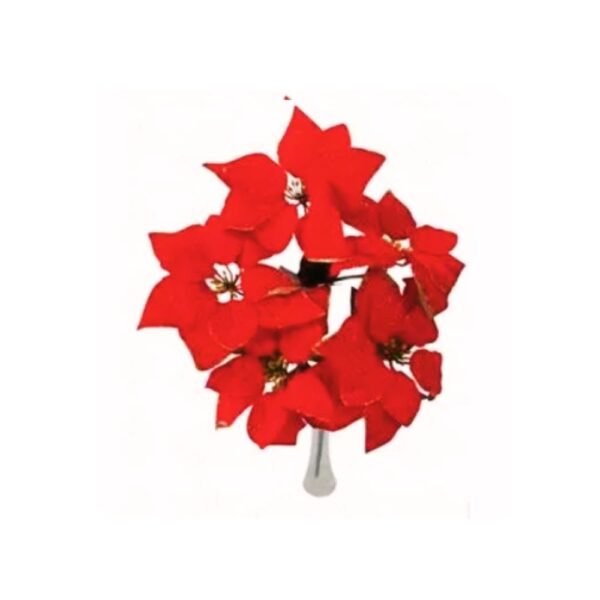 Ramo de Bico de Papagaio Gde com 5 flores